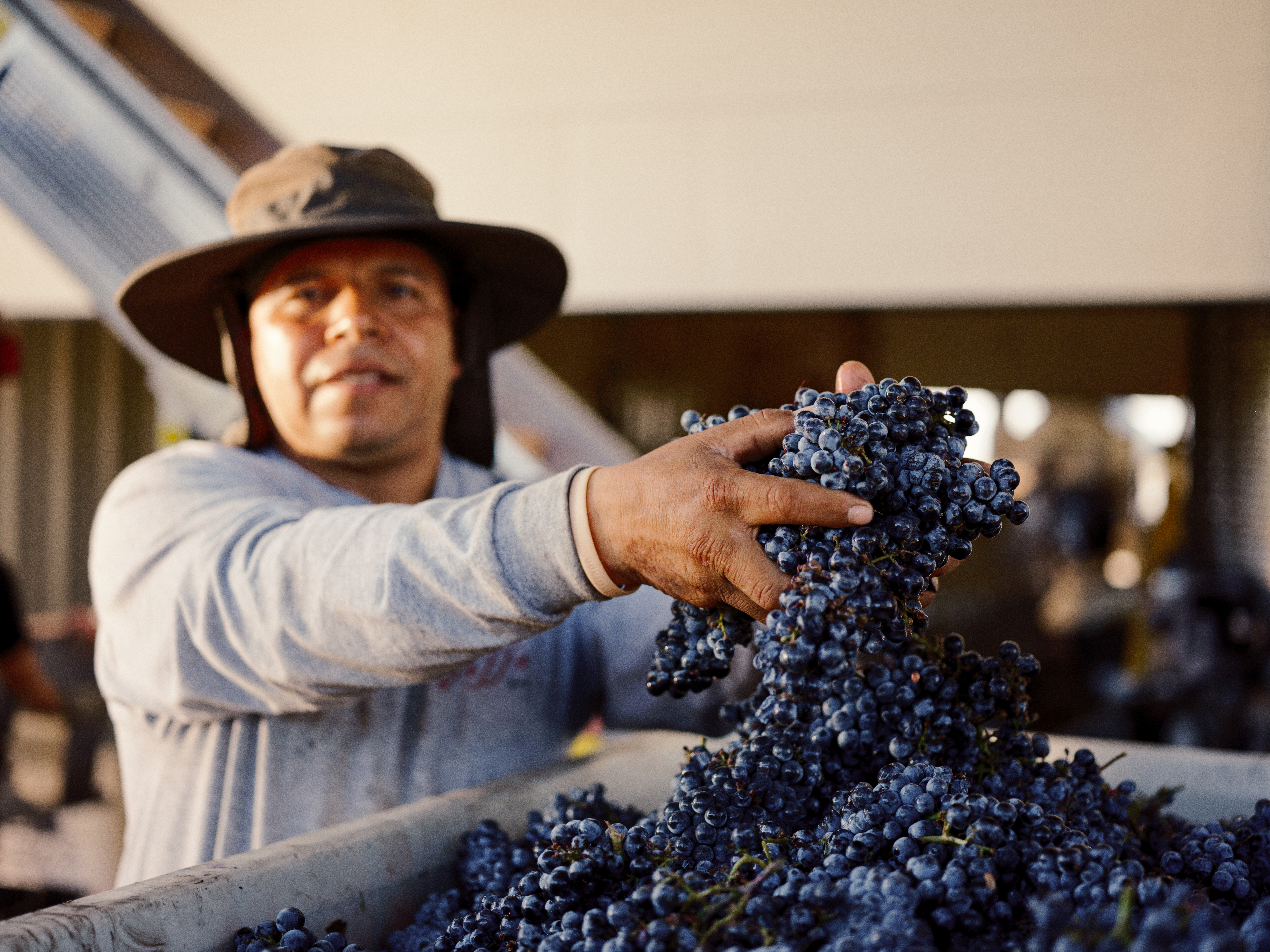 Temecula Wineries