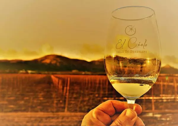 Harvest Magic at El Cielo in Valle De Guadalupe