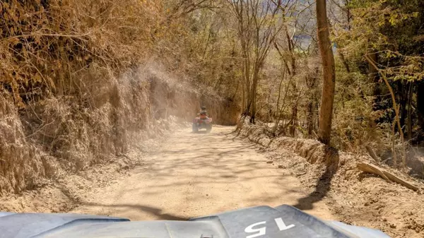 From Sea to Sky: Puerto Vallarta Adventure Guide