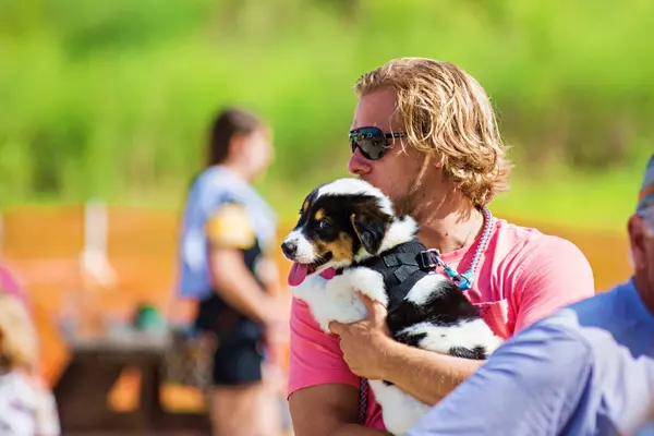 Ales, tails and Renaissance tales: Barks &#038; Brews is back