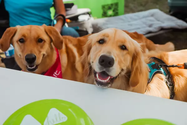 This weekend in Clarksville: PEAYple&#8217;s Concert, Barks &#038; Brews, Just Plane Fun Day and more
