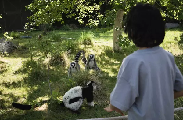 Experience a Summer of Wild Fun at the Wilder Institute/Calgary Zoo