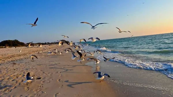 55+ Homes for Sale in Englewood,Ryan Erisman