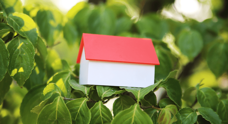 Why Today’s Foreclosure Numbers Aren’t a Warning Sign,KCM Crew