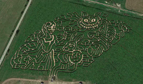 San Antonio-area pumpkin patches and corn mazes to check out for fall 2025