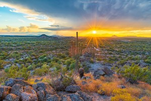 5 Fun Summer Things to Do in Mesa, Arizona