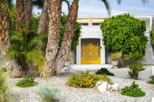 Combat Extreme Climates: Tips on How to Xeriscape