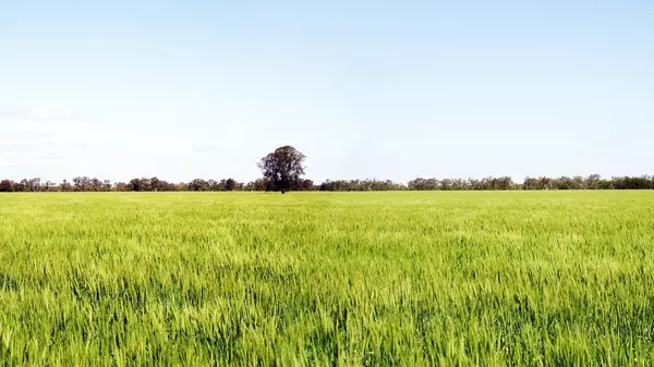 Buying Raw Land? Here’s What You Need To Know Before You Break Ground