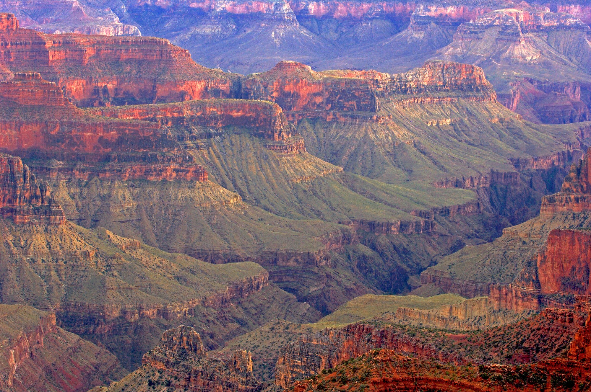 View of the canyon from North Rim Lodge. (Dave Welling / Jaynes Gallery / DanitaDelimont.com / Adobe Stock)