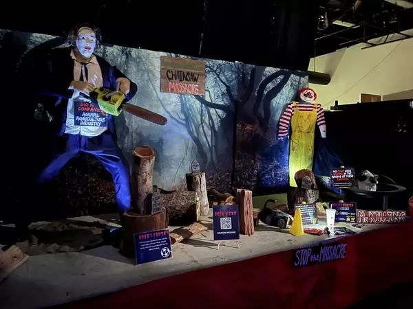 Halloween season: A guide to spooky and scary haunted houses, trails and mazes in San Diego County