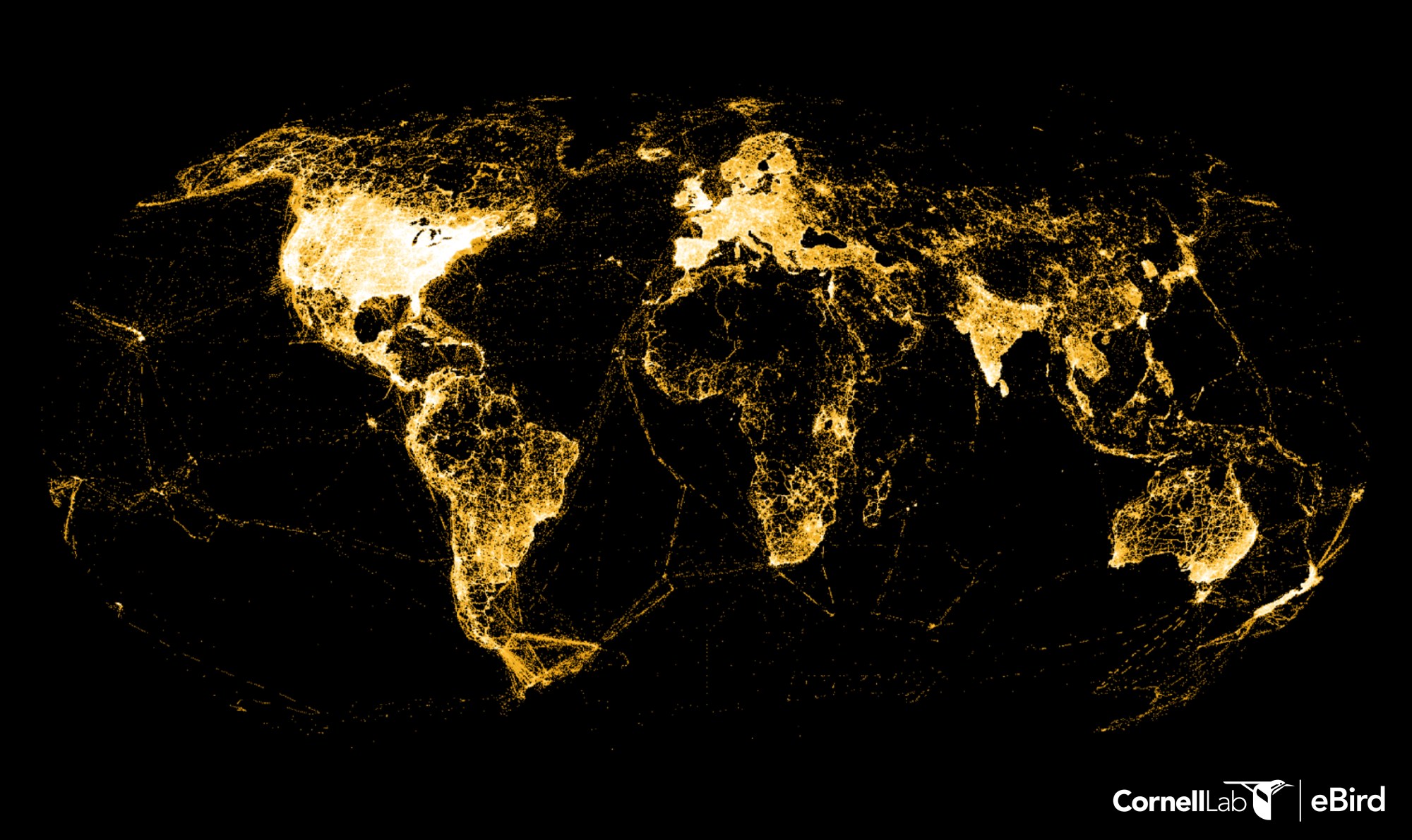 The world bird distribution image that shows the global distribution of checklists submitted to eBird. (Cornell Lab of Ornithology / eBird (ebird.org))