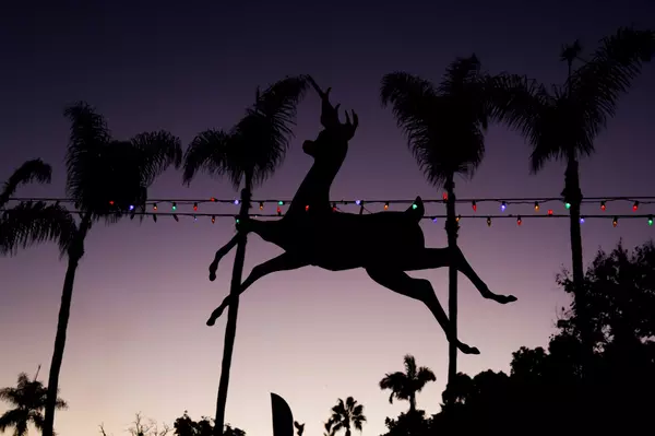 Photos: December Nights