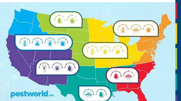Unseasonably Mild Fall Could Leave Homeowners Battling Pests All Winter Long