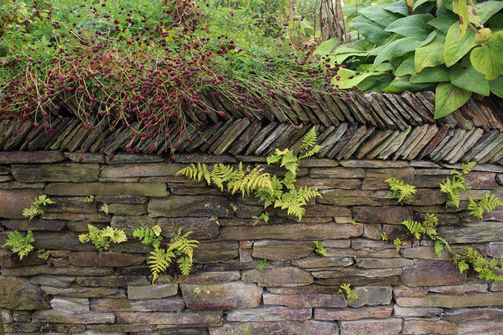 duchy nursery wall gardenista 11