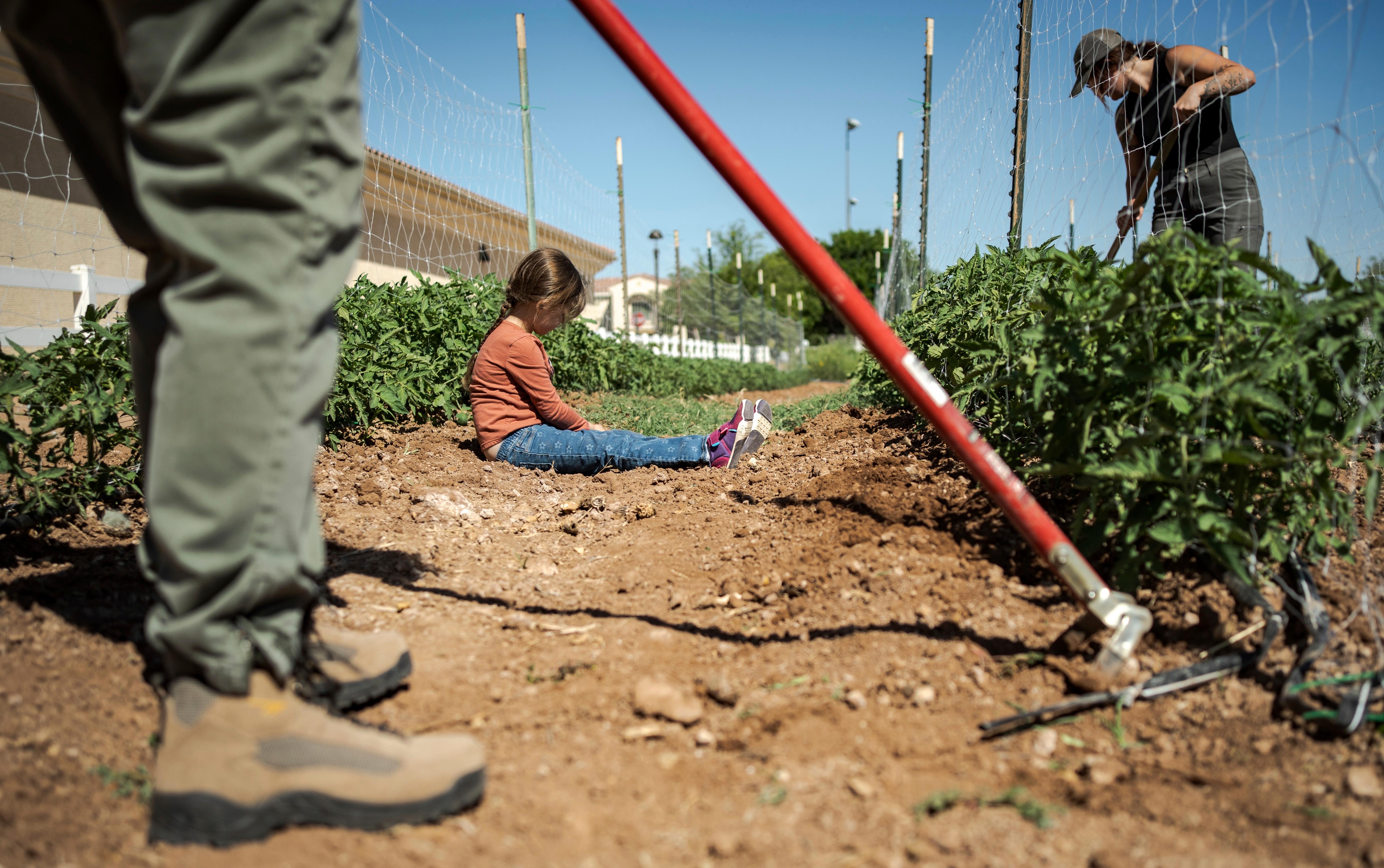 Kamori Parra, 5, hangs out on one of the farms...