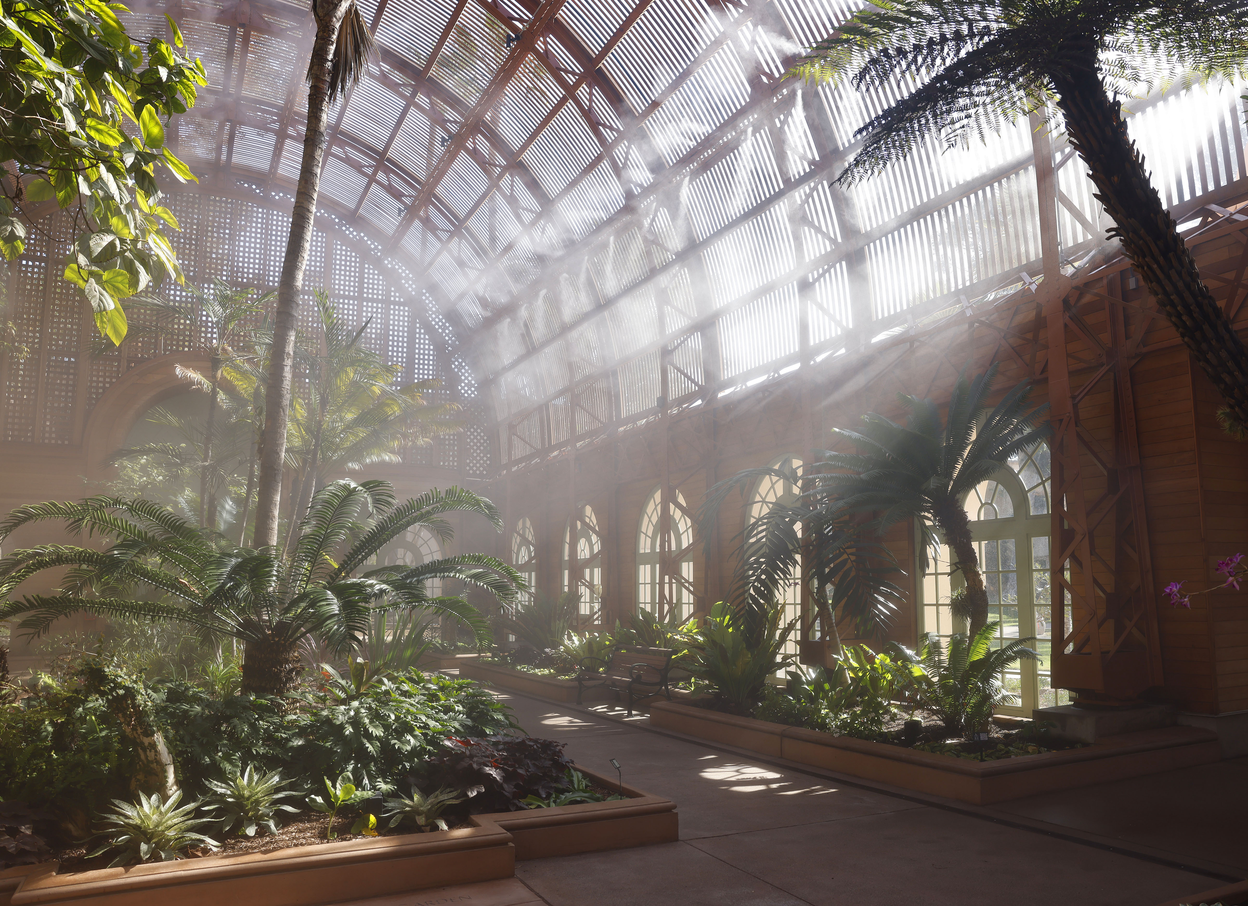 Mist fills the air in December at Balboa Park’s Botanical...