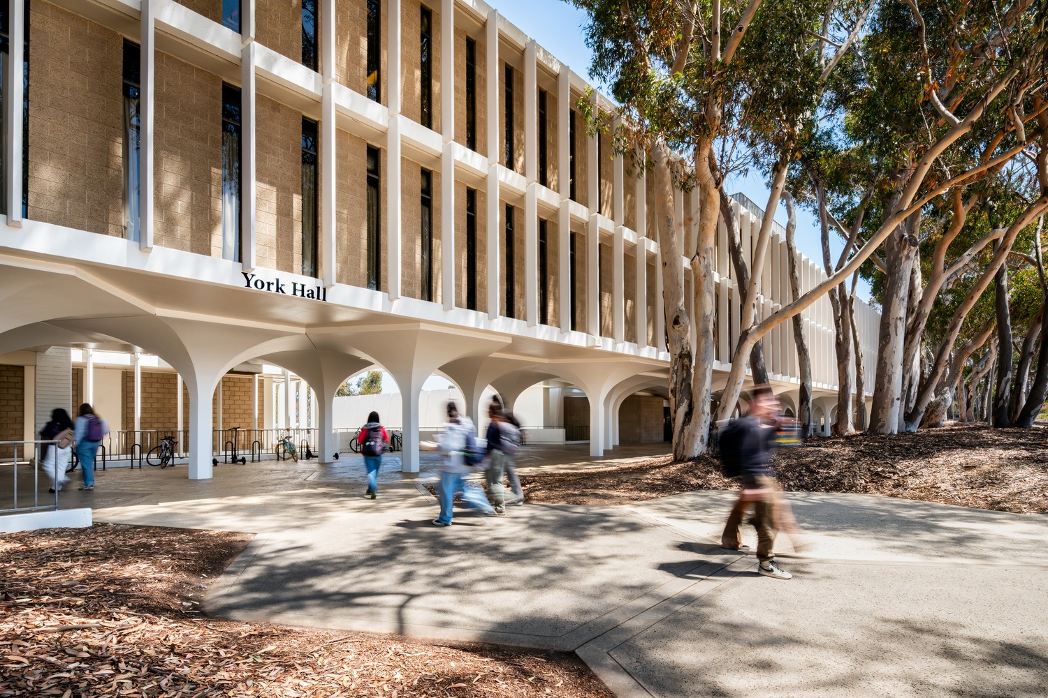 The seismic retrofit of UC San Diego’s York Hall won...