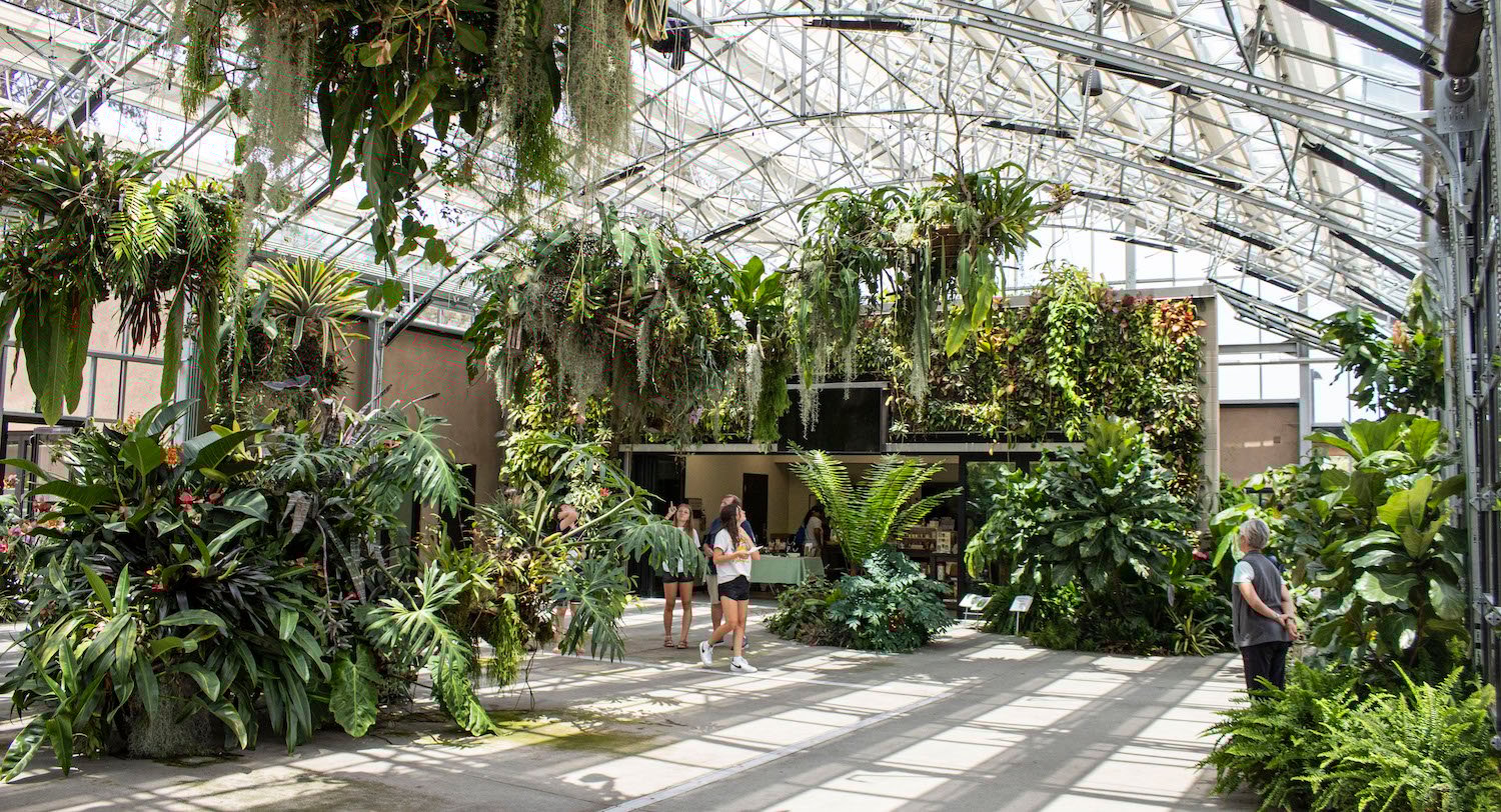 Things to do in Encinitas, CA featuring the San Diego Botanic Graden