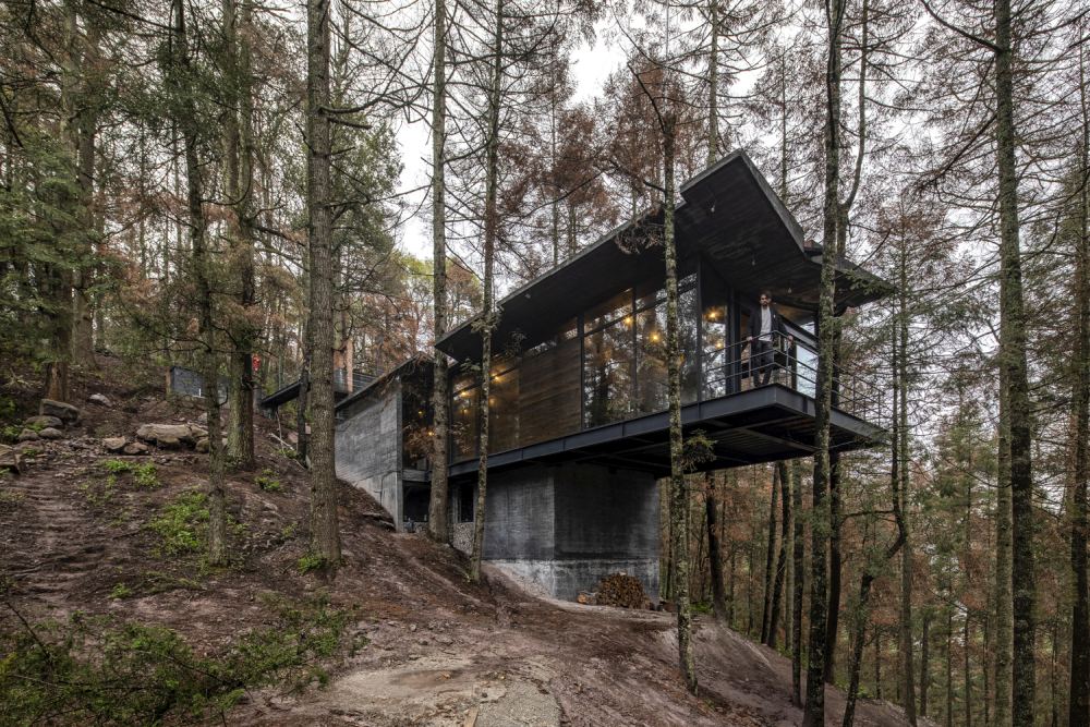 Floating Among Pines: A Bold Cantilever House