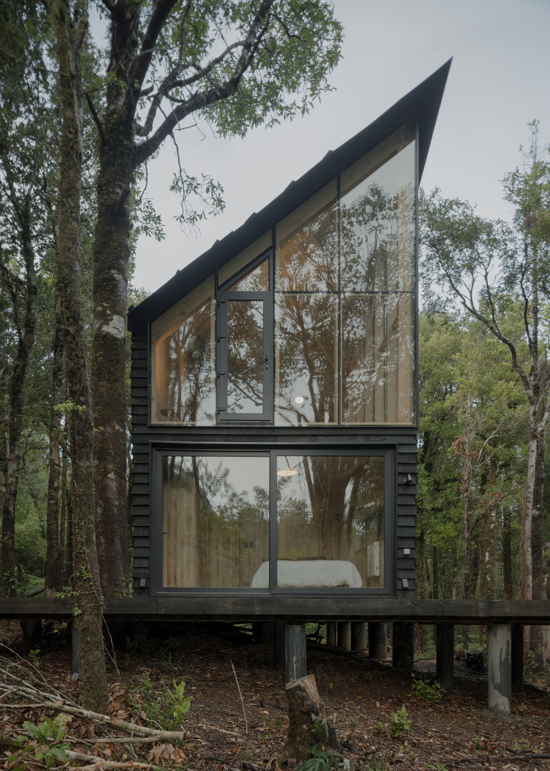 A Compact Vertical Cabin in Chile’s Valdivian Rainforest