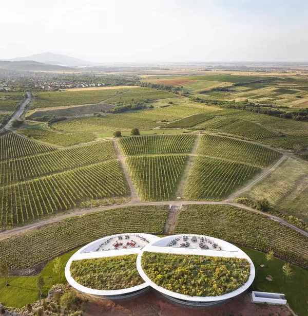 Lens-Shaped Volumes Bring Contemporary Architecture to Tokaj’s Vineyards