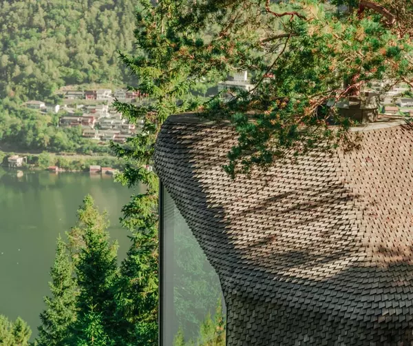 Where Nature Becomes Home: Inside the Woodnest Treehouses