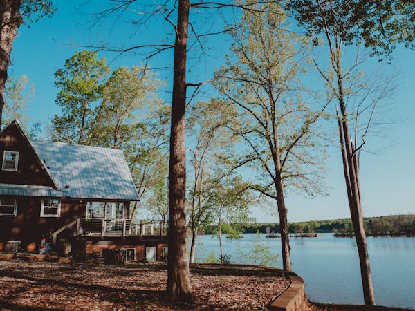 Tranquil Lakeside Cabin in Springtime Forest
