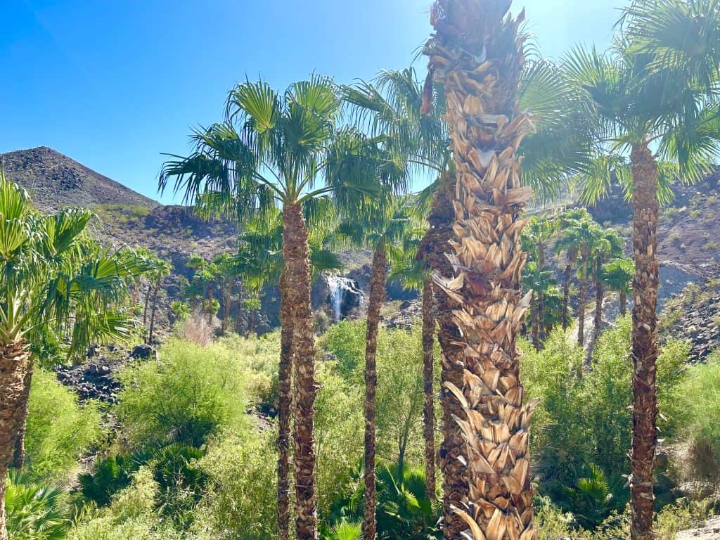 IMG_3614 SouthShore Lake Las Vegas Waterfall