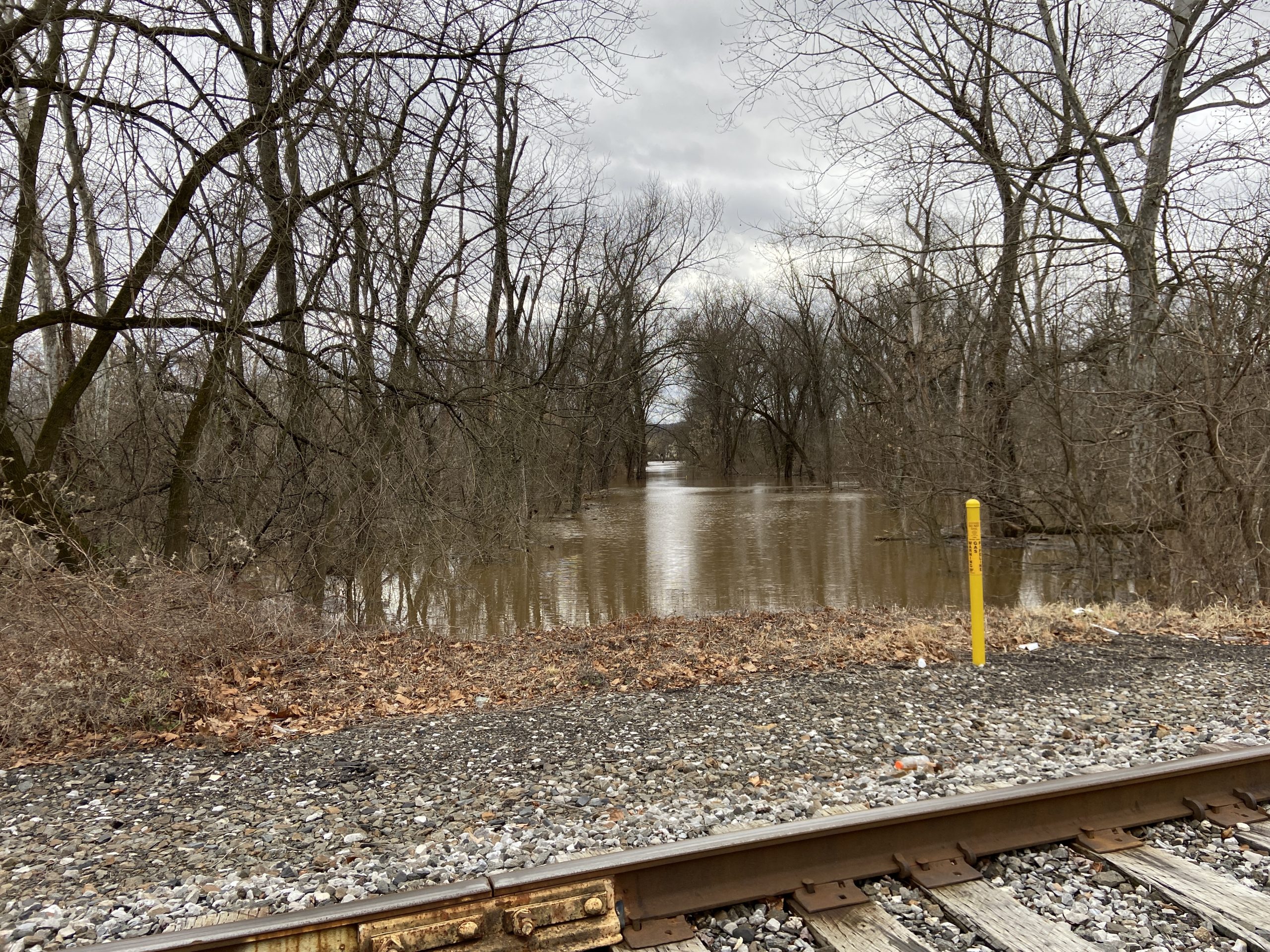 All the wooded area in Riverfront Park was flooded by...