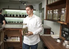 Man behind the counter of a marijuana dispensary Man behind the counter of a marijuana dispensary