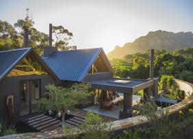 Modern home surrounded by trees and garden Modern home surrounded by trees and garden
