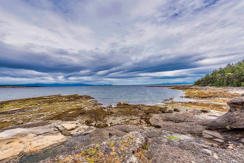 Hornby Island, BC V0R 1Z0,5630 Blue Whale Lookout Rd