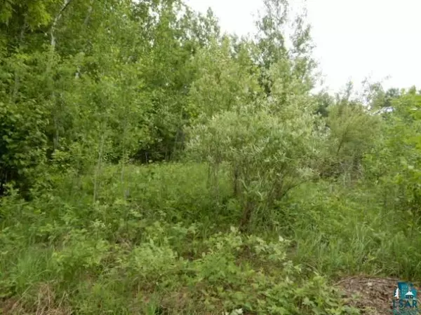 Moose Lake, MN 55767,Lot 8 Langhorst Ct