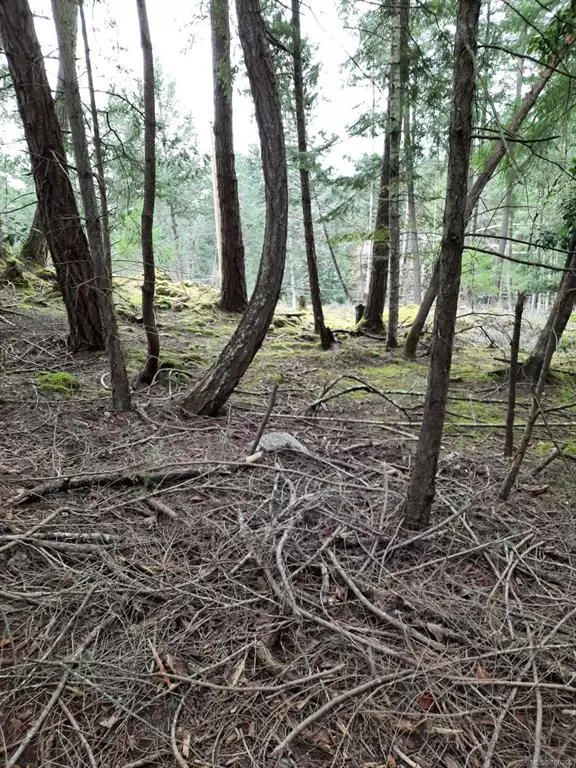 Mudge Island, BC 000 000,Lot 18 Ling Cod Lane