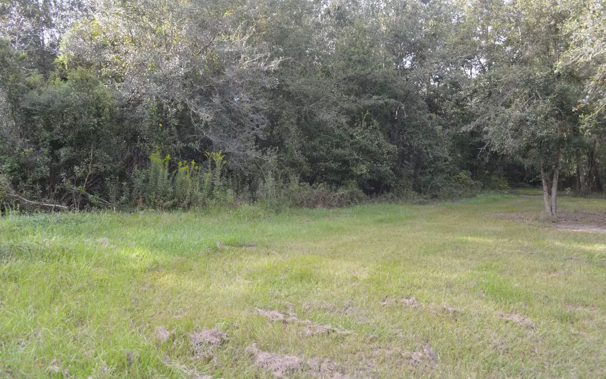 Live Oak, FL 32060,LOT 5 CR 250