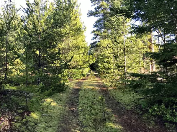 Denman Island, BC V0R 1T0,6500 Danes Rd #LOT 1