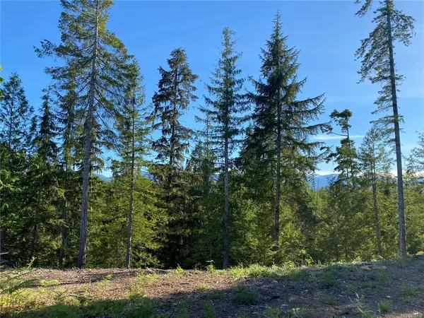 Denman Island, BC V0R 1T0,6500 Danes Rd #LOT 1