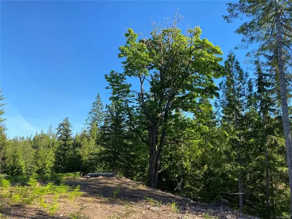 Denman Island, BC V0R 1T0,6500 Danes Rd #LOT 1