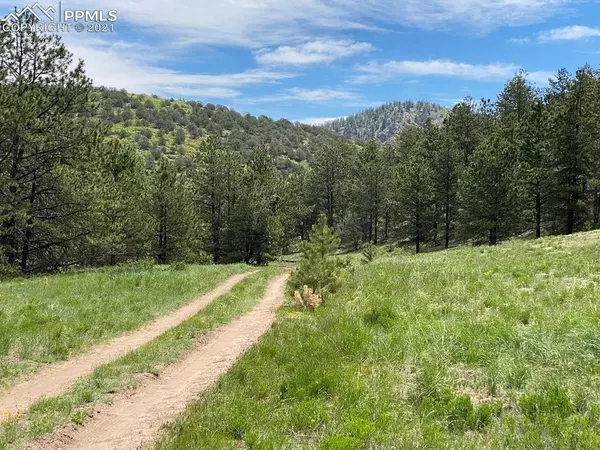 TBD L8 Delilah DR, Canon City, CO 81212