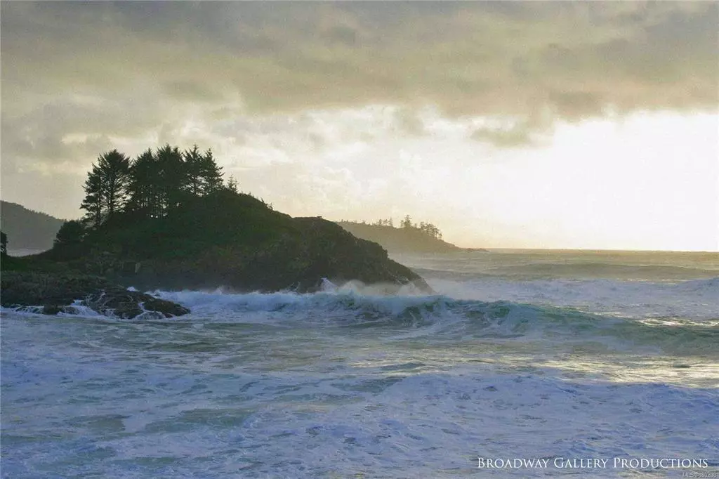 Tofino, BC V0R 2Z0,865 Moser Pl