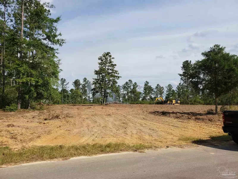 LOT 45 BR Buffalo Ridge Rd, Pace, FL 32571