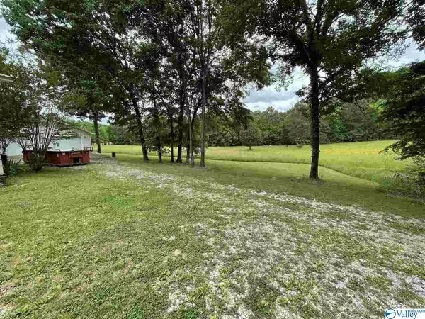 Stevenson, AL 35772,4157 County Road 491