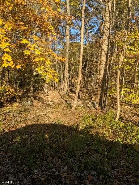 15 GREENWOOD AVE, Hopatcong Boro, NJ 07874