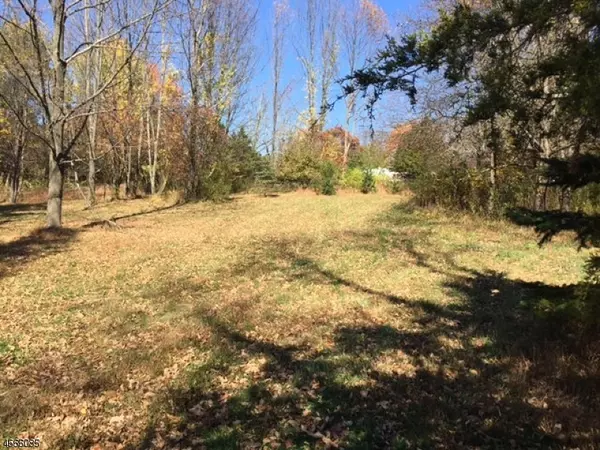 Frankford Twp., NJ 07826,Lot 8 Roslyn Rd