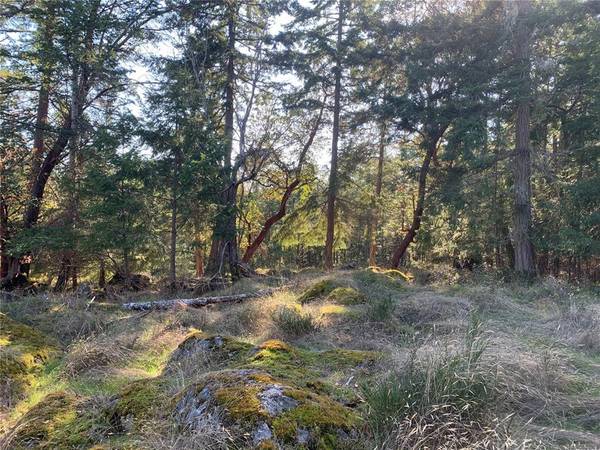 Salt Spring, BC V8K 1W4,136 Forest Ridge Rd