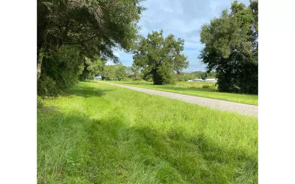 TBD SE COUNTY ROAD 412, Mayo, FL 32066