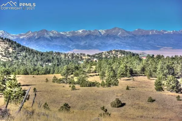 Westcliffe, CO 81252,279 Chadwick LN