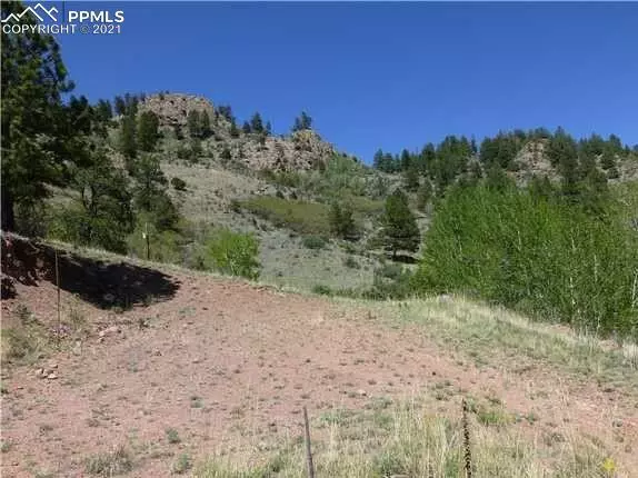 Florissant, CO 80816,185 Floresta DR