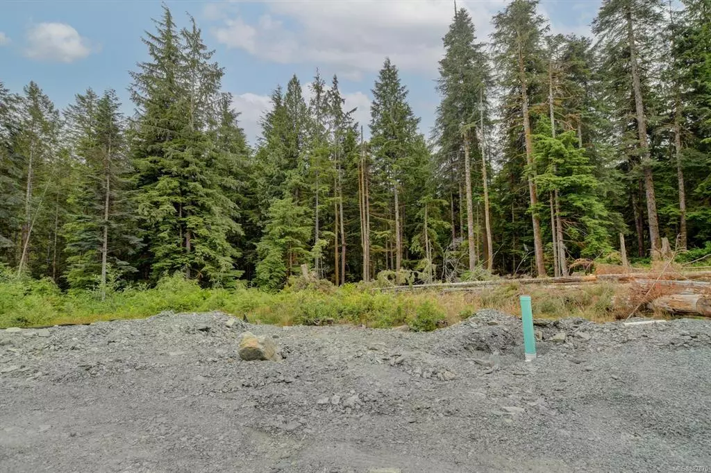 Port Renfrew, BC V0S 0K1,Lot 12 Beachview Dr