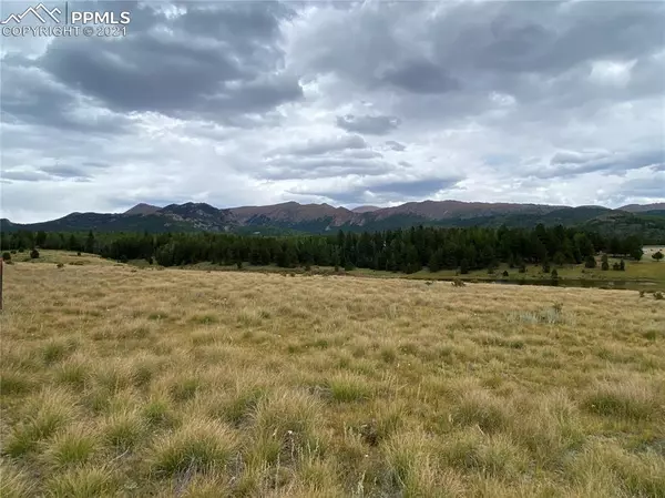 County RD, Cripple Creek, CO 80813